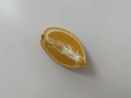 <b>Orange Quartered</b><br> I used my phone to capture the quartered orange, showcasing the layers and details of the pulp. I chose this object because when cut, it displays a symmetrical structure and detailed pulp texture.