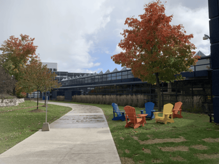 <b>Outdoor Seating Area with Fall Foliage</b><br>I took this photo on Sheridan campus with my phone, showing an outdoor seating area surrounded by fall-colored trees. Originally, this area was meant for students to relax or study. It’s still used today as a peaceful spot to gather, enjoy nature, or have some quiet time.